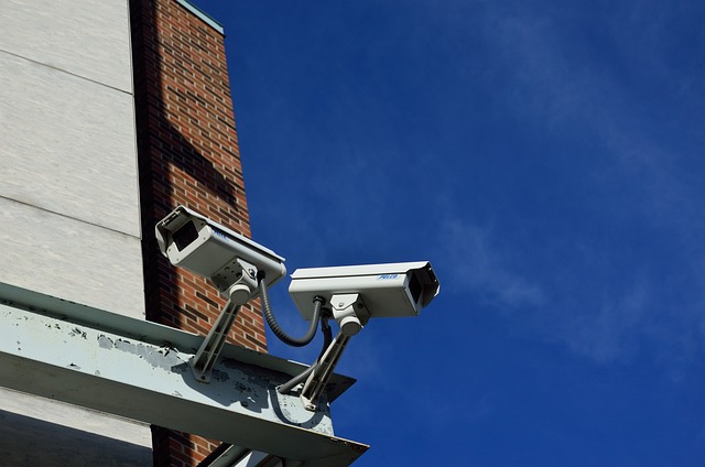 Câmera de segurança IP: descubra como vigiar sua casa